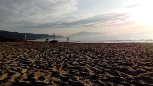 Fishing, early morning, first days of September