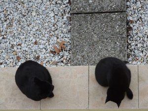 down the balcony