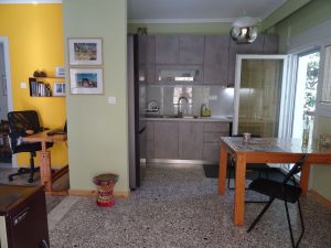 The Oasis Apartment - a kitchen/living room view